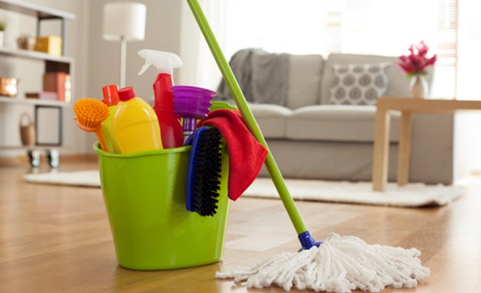 Clean Your House Before Moving In - Top Easy Tips To Move With Your Dog